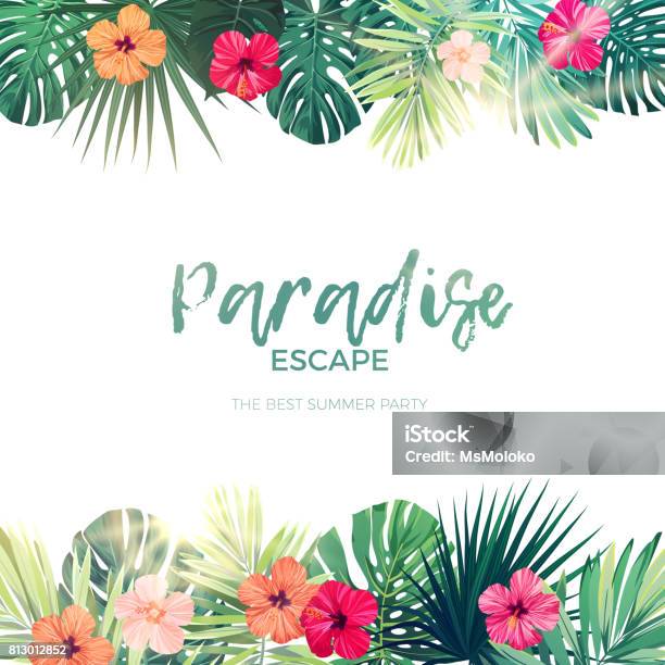 Green Summer Tropical Background With Exotic Palm Leaves And Hibiscus Flowers Vector Floral Background Stock Illustration - Download Image Now