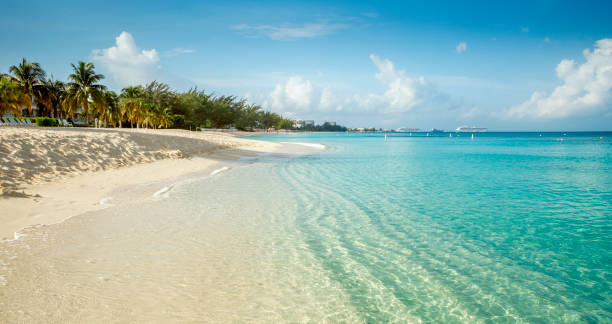 sept mile beach sur l’île de grand cayman, îles caïmans - cayman islands photos et images de collection