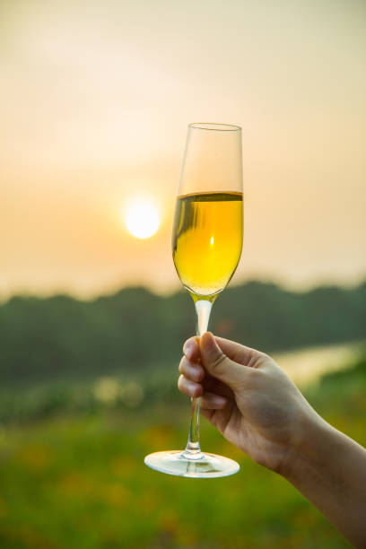 istock Female hand holding champagne at sunset 813016020