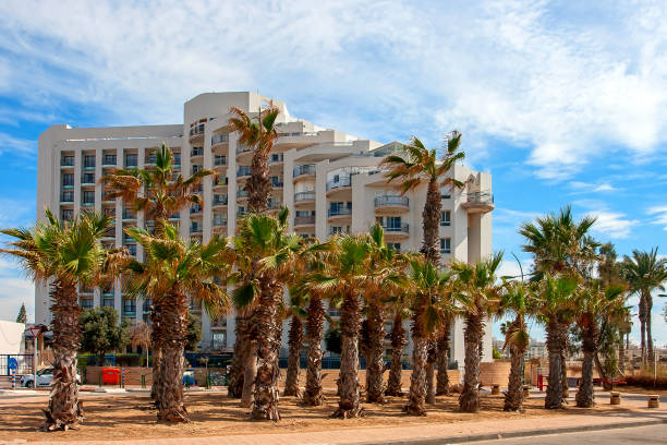 Ashkelon on summer street with palm trees