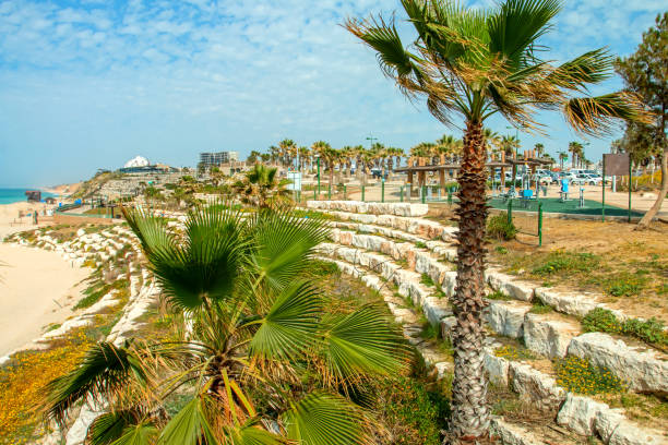 Ashkelon on summer street with palm trees