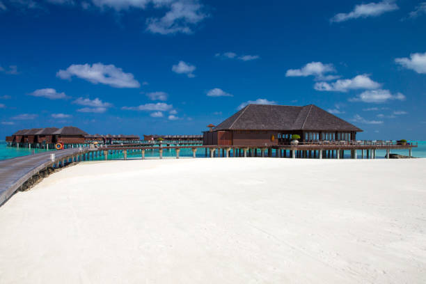 istock beach with water bungalows at Maldives 813041454
