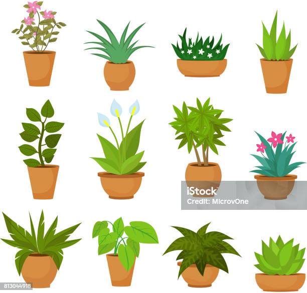 Indoor And Outdoor Landscape Garden Potted Plants Isolated On White Vector Set Stock Illustration - Download Image Now