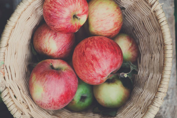 istock Basket with apples harvest in garden, top view 813045186