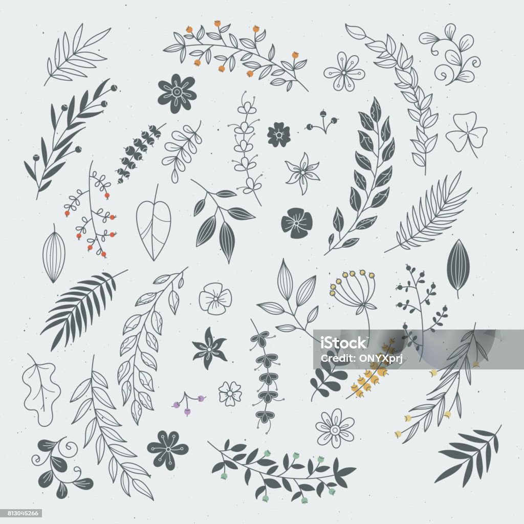 Rustikale Hand gezeichnet Ornamente mit Zweigen und Blättern. Vektor floral Rahmen und Grenzen - Lizenzfrei Blatt - Pflanzenbestandteile Vektorgrafik