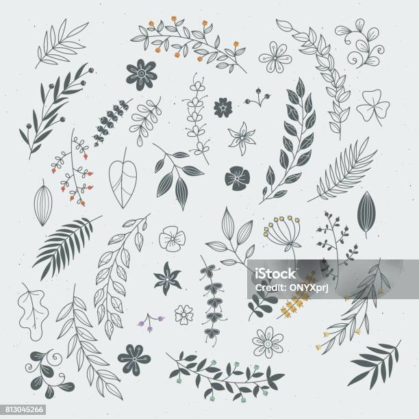 Rustikale Hand Gezeichnet Ornamente Mit Zweigen Und Blättern Vektor Floral Rahmen Und Grenzen Stock Vektor Art und mehr Bilder von Blatt - Pflanzenbestandteile