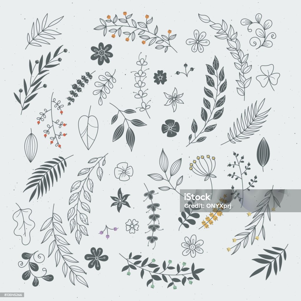Rustic hand drawn ornaments with branches and leaves. Vector floral frames and borders Rustic hand drawn ornaments with branches and leaves. Vector floral frames and borders. Branch floral vintage, illustration of sketch flower and leaf Leaf stock vector