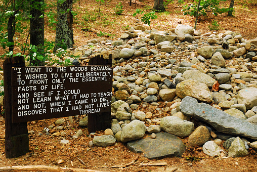 Concord, MA, USA July 10, 2009 A wooden marker denotes the site of Henry David Thoreau's cabin in Walden Pond, where he would write is famous essay Walden.