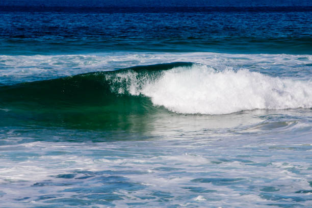 istock Curling incoming greens and blues in wave - Australia 813053430