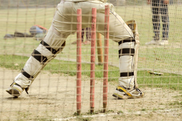 práctica de net - sport of cricket practicing cricket player net fotografías e imágenes de stock