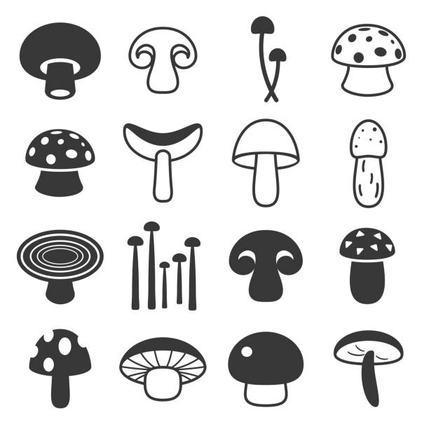 ilustrações de stock, clip art, desenhos animados e ícones de vector mushroom cute icon - sillhoutte