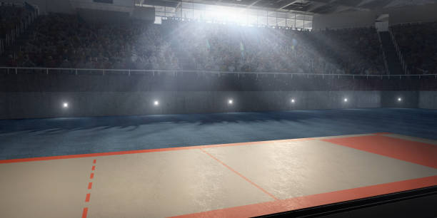 istock A 3D professional scene for fencing 813056700