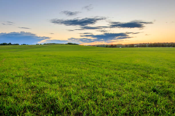 istock Sunset at cultivated land in the countryside on a summer. 813059232