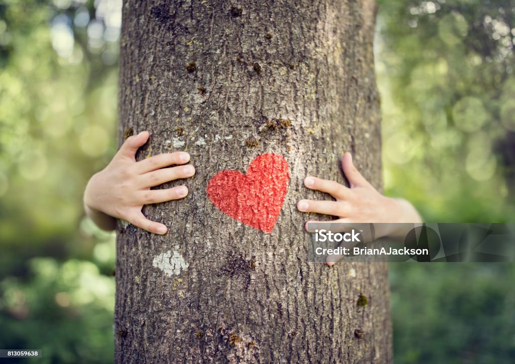 Tree hugging, love nature Tree hugging, little boy giving a tree a hug with red heart concept for love nature Tree Stock Photo