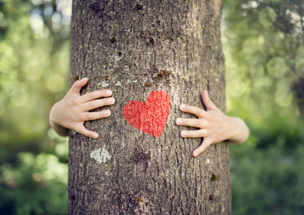 Tree hugging, love nature Tree hugging, little boy giving a tree a hug with red heart concept for love nature hugging tree stock pictures, royalty-free photos & images