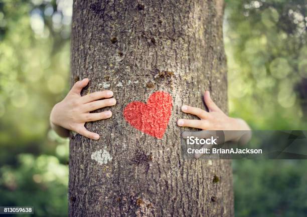 Tree Hugging Love Nature Stock Photo - Download Image Now - Tree, Child, Embracing