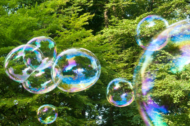 istock Soap bubbles in front of green trees 813062524