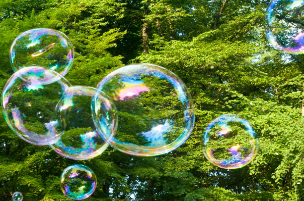istock Soap bubbles in front of green trees 813065274