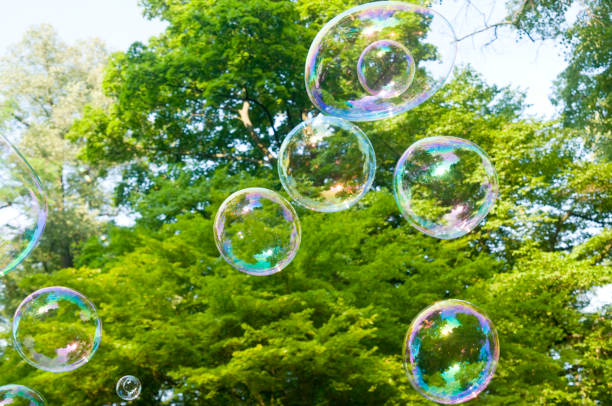 istock Soap bubbles in front of green trees 813065894