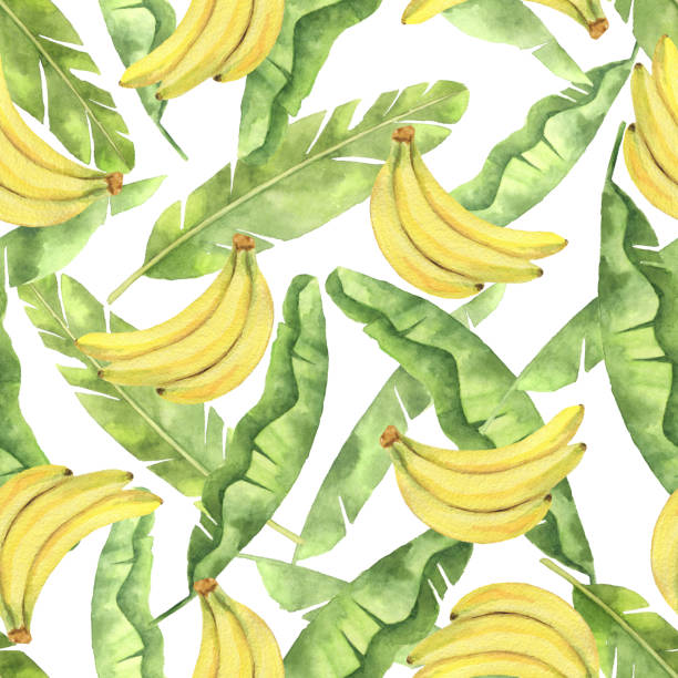 Watercolor seamless pattern with tropical green leaves and yellow bananas isolated on white background. Watercolor seamless pattern with tropical green leaves and yellow bananas isolated on white background. Hand painted illustration for design kitchen, bio food, menu, healthy eating, textiles, market. banana patterns stock illustrations