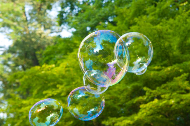 istock Soap bubbles in front of green trees 813068182