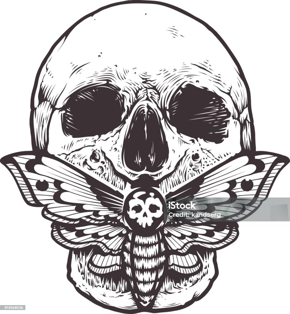 Skull with Moth Vector Skull with deaths head hawk moth sitting on his mouth. Tattoo style graphic design. Monochrome vector illustration isolated on white. Voodoo stock vector