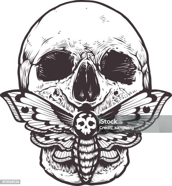 Skull With Moth Vector Stock Illustration - Download Image Now - Voodoo, Moth, Death