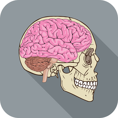 Vector illustration of gray colored brainiac icon.