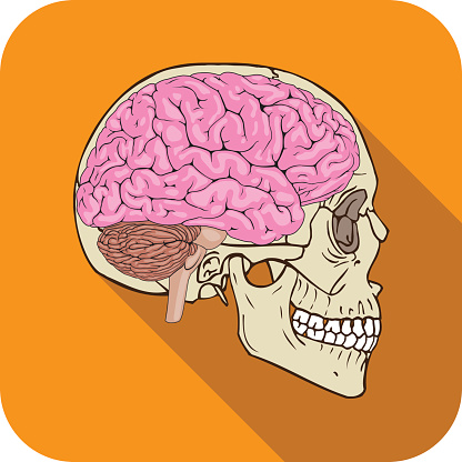 Vector illustration of orange colored brainiac icon.