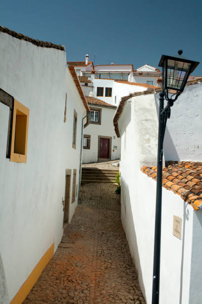 istock Rural street 813078958