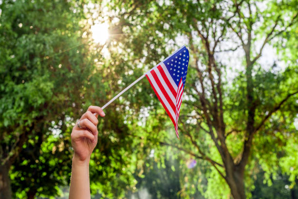 istock Representing the United States 813094746
