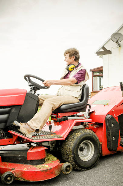 istock Woman riding lawnmower 813094866