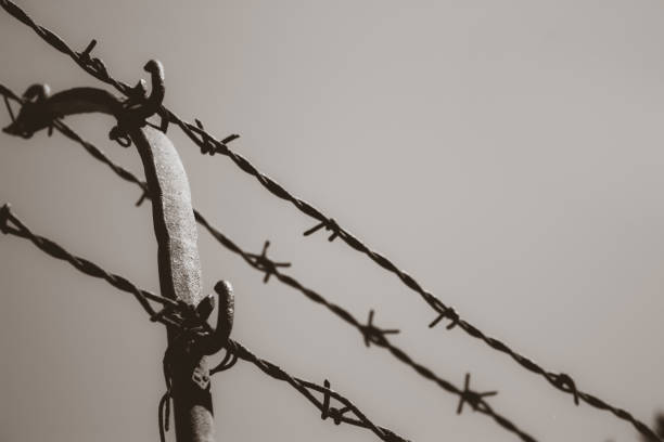 istock Black and white to barbed wire 813099130