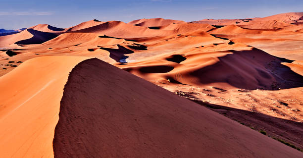 istock desert of namib with orange dunes 813108344