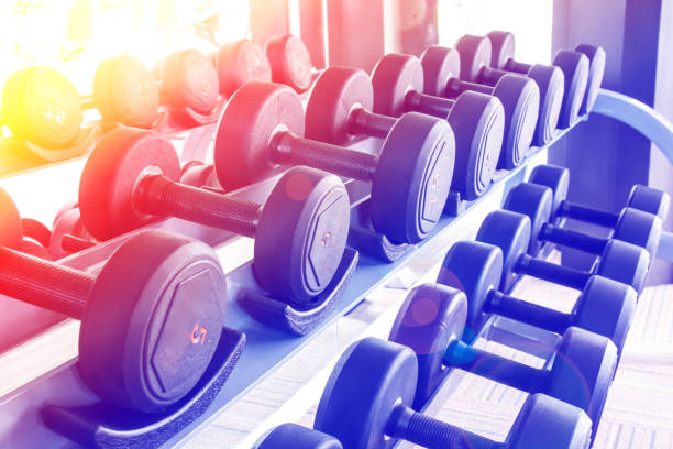 istock Rows of dumbbells in the gym 813115232