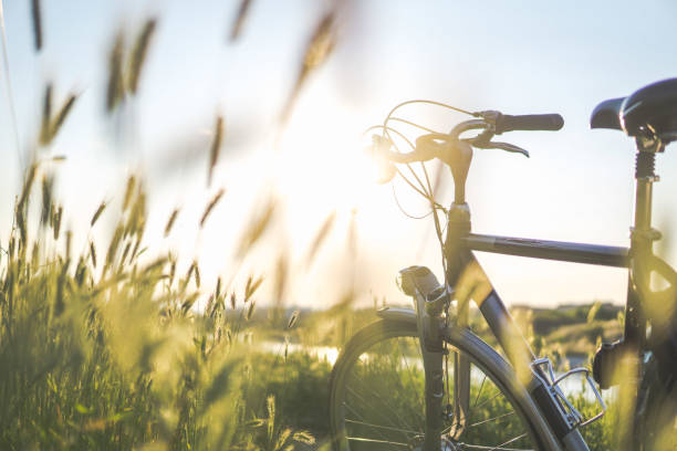 istock Bicycle in the field 813118104