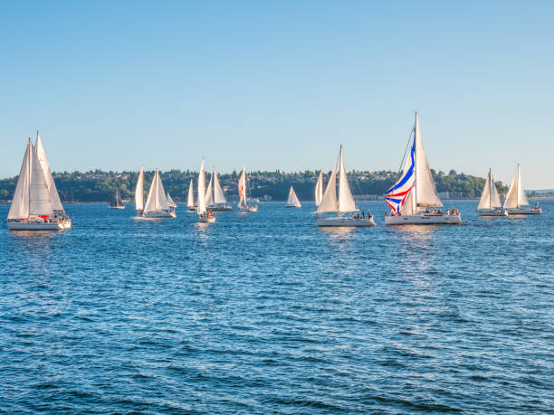 istock Incredible yacht show. 813129320