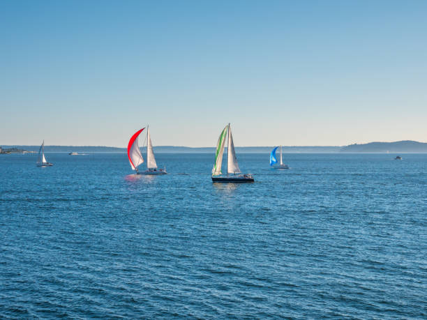istock Incredible yacht show. 813129570