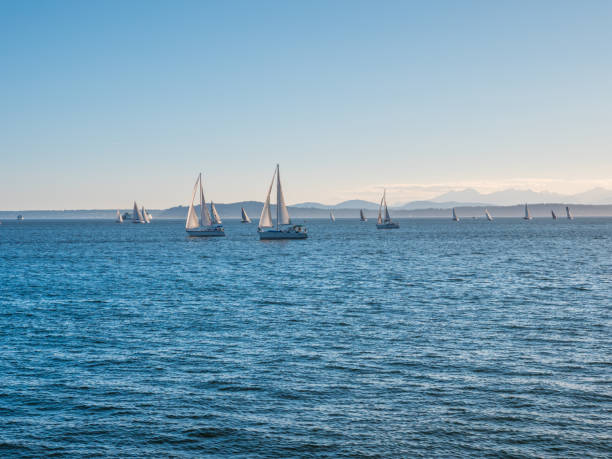 istock Incredible yacht show. 813131674
