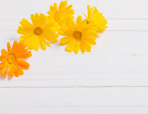 istock Calendula (Marigold) herbal tea  on white wooden table 813131710