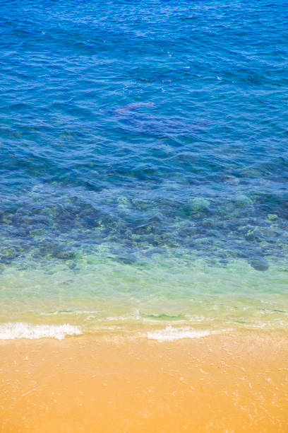 A stock photo of La Jolla Beach/Cove in San Diego, California.