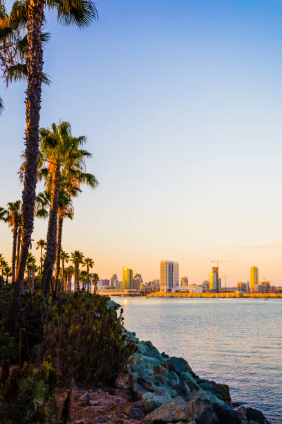 istock San Diego - California 813176532