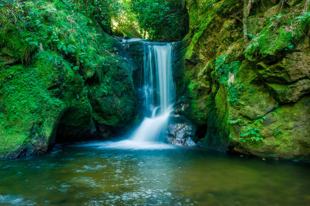 istock The Geroldsauer waterfall in Geroldsau in the Black Forest 813198080