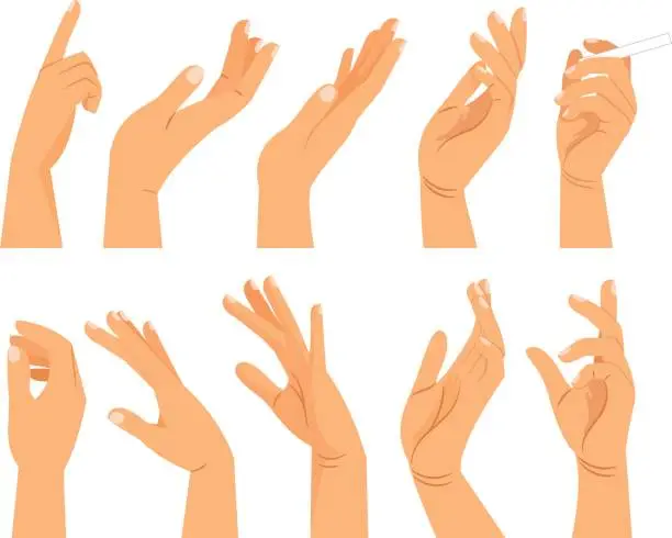 Vector illustration of Hand gestures in different positions
