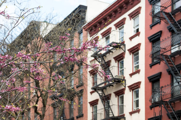 istock New York City Buildings in Spring 813211196