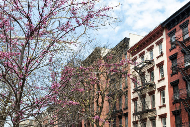 istock New York City Buildings in Spring 813211208