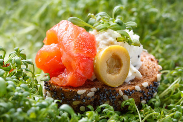 istock Canape with salmon and cheese cheese with micro-green on a dark background. 813225902