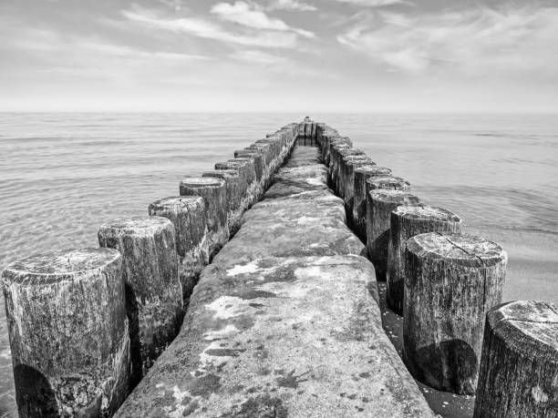 Black-and-white image of the Baltic Sea with breakwaters