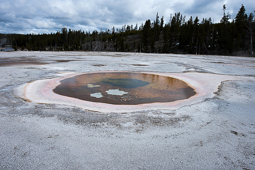 The largest spring in the Upper Geyser Basin filled with clear , greenish blue water and edged by a wide band of orange and brown bacterial mat.