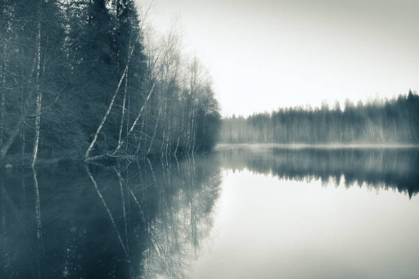 Photo of Foggy landscape with gloomy mood and lake at toned photo